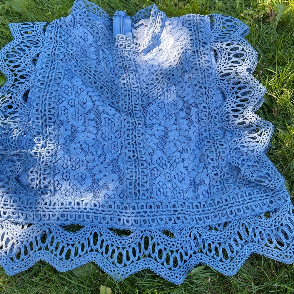 Blue lace cropped top BNWOT